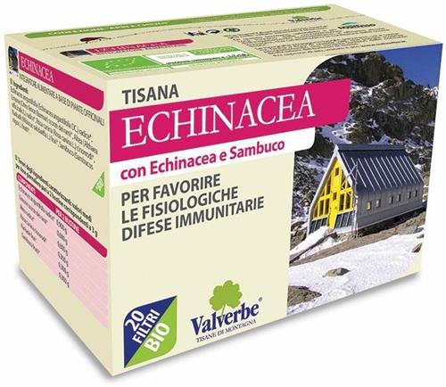 Tisana Echinacea