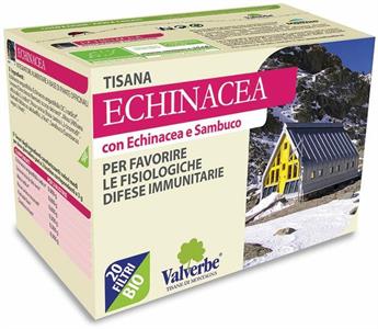 Tisana Echinacea