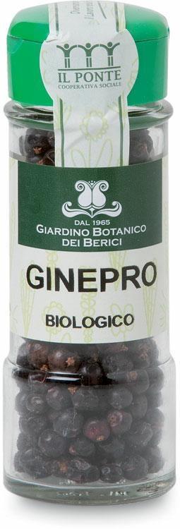 Ginepro in bacche