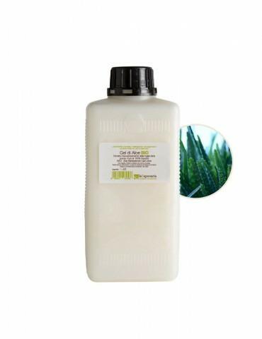 Gel di Aloe 1l