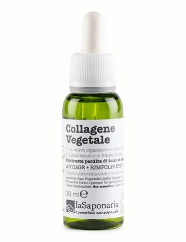 Collagene Vegetale