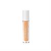 Sublime Luminous Concealer 02