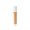 Sublime Luminous Concealer 04